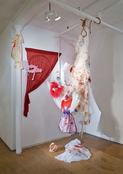 aimee hertog Installation and Sculpture Dresses, dolls, stuffed animal, drape, Hula Hoop, tiki torches, lace, scarf, boa, rope, string, mop tops, ribbon, fishing wire, resin, glue, pigment, fake jewels, loofahs, fake and real flowers