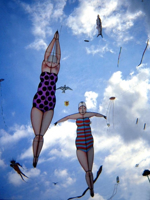 A  I  R  W  O  R  K  S     S   T   U   D   I   O  Kite Works rip-stop nylon, fiberglass rod