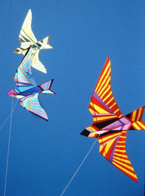 A  I  R  W  O  R  K  S     S   T   U   D   I   O  Kite Works rip-stop nylon, fiberglass rod & tube