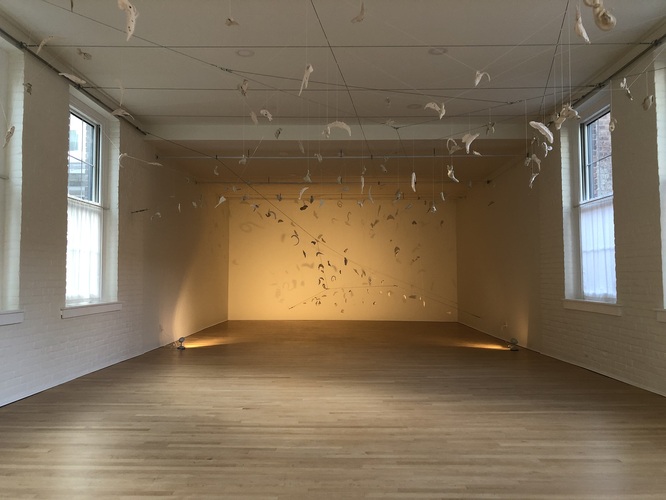 ALAN BAER ARCHITECT Artist Jan Harrison's Installations 
