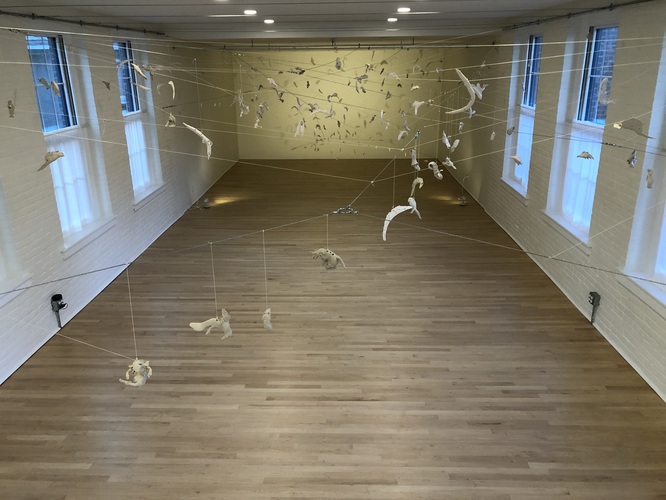 ALAN BAER ARCHITECT Artist Jan Harrison's Installations 