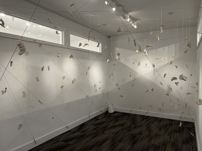 ALAN BAER ARCHITECT Artist Jan Harrison's Installations 