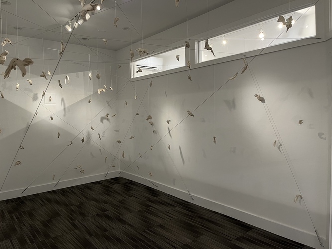 ALAN BAER ARCHITECT Artist Jan Harrison's Installations 