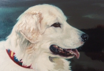 Aleta Brisbane Heisig Dog Portraits Oil on Canvas