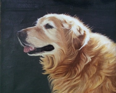 Aleta Brisbane Heisig Dog Portraits 