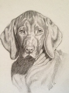 Aleta Brisbane Heisig Dog Portraits Compressed Charcoal