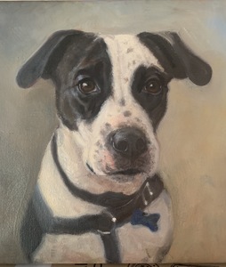 Aleta Brisbane Heisig Dog Portraits Oil on Linen Canvas