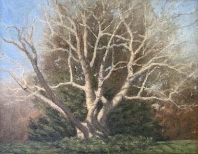 Aleta Brisbane Heisig Landscape Oil on Board