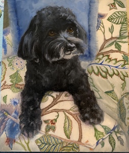 Aleta Brisbane Heisig Dog Portraits Oil on Linen Canvas