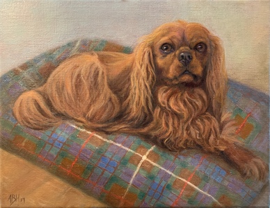 Aleta Brisbane Heisig Dog Portraits Oil on Linen Canvas