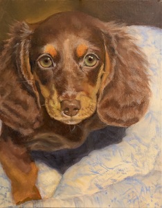 Aleta Brisbane Heisig Dog Portraits Oil on Canvas Board