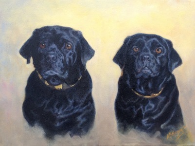 Aleta Brisbane Heisig Dog Portraits Oil on Linen