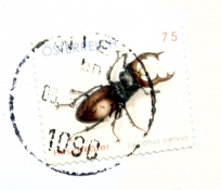 Alexander Viscio Drawings/Proposals Postage stamp.