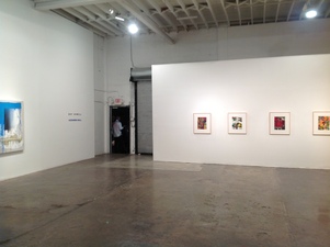 Alexander Kroll Installation Images 