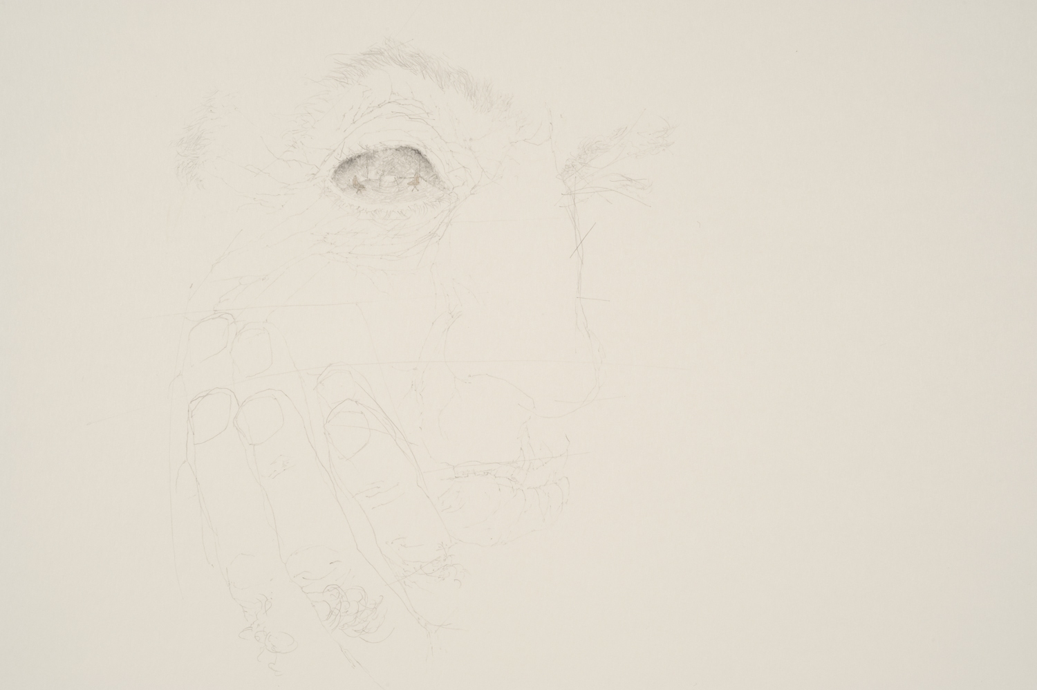 ALEXANDRA DO CARMO DRAWINGS 2011 for project ALL WAS CAPTURED (even the movements of the goat) 