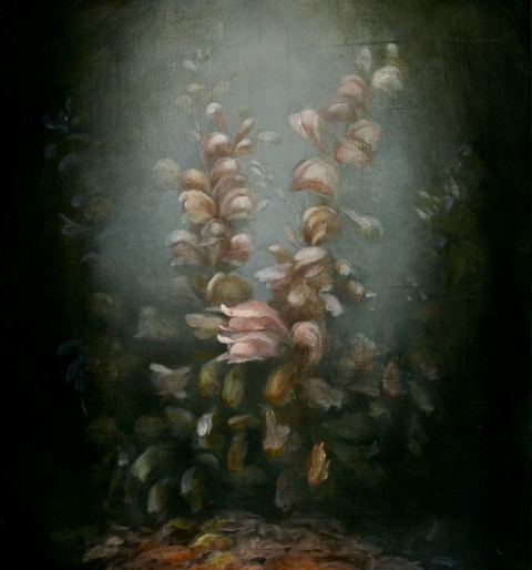 Snaporaz IV Floralia oil on linen
