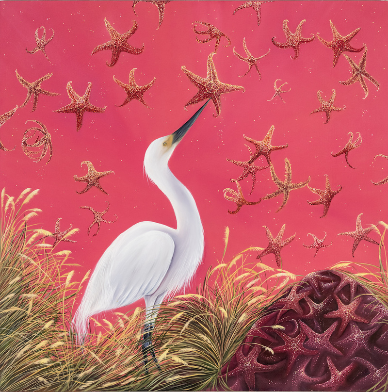 Allison Green Sea Birds Oil on Canvas