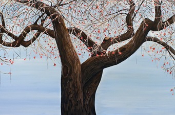 Arboreal Portraits