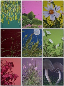 Studies
