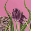 Carousel artwork image 215