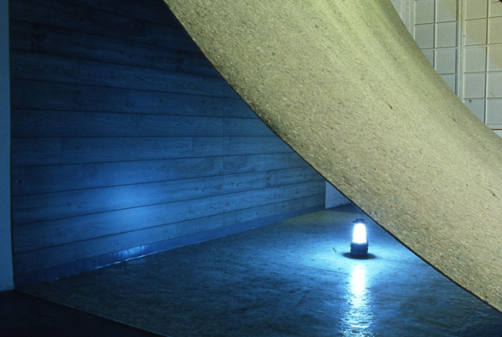 Allison SMITH Lean-to Industrial carpet padding, artificial wall paneling, vinyl flooring, fluorescent lantern