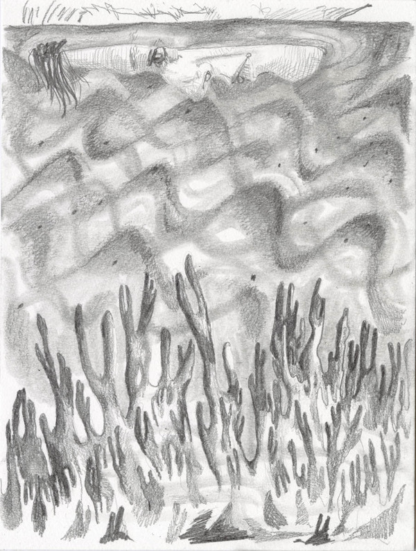 AMANDA LECHNER Time's End // graphite graphite on paper