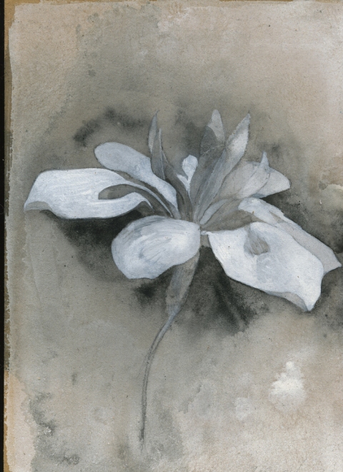 Amie Oliver  acrylic and ink on MDF panel