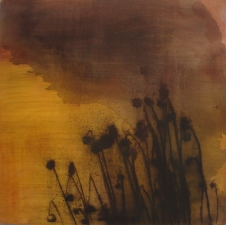 Amie Oliver Botanicals: an ongoing series charcoal and acrylic on birch panel