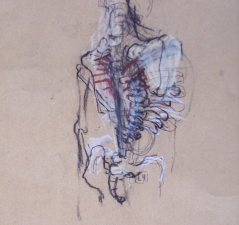 ABMacD Gesture Drawings Mixed media on paper