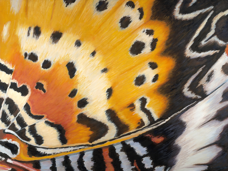 Amy Bock Pollinators: Butterflies & Moths Oil on panel