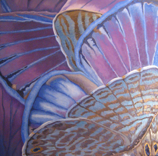 Amy Bock Pollinators: Butterflies & Moths Oil and mica on panel