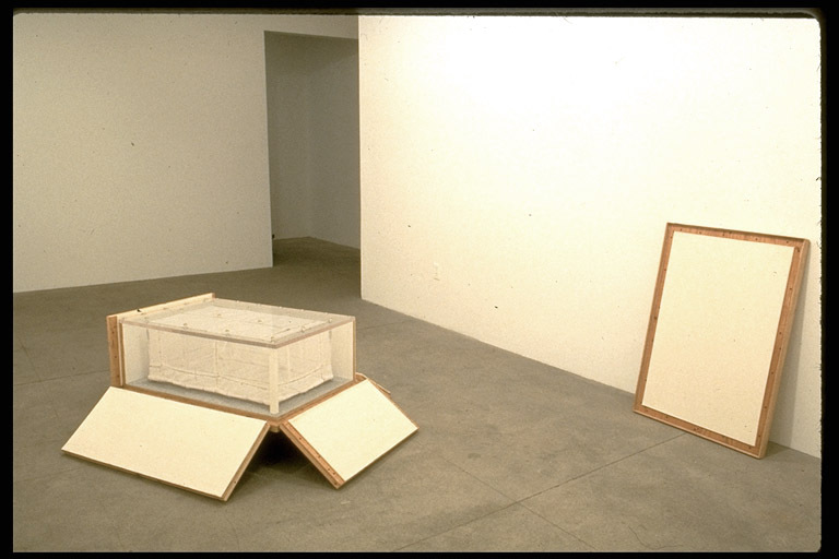  Derek Eller Gallery, NYC plywood, plexiglass, luggage cart, linoleum, felt, wood, net, bobbinette, rope, wire, hardware