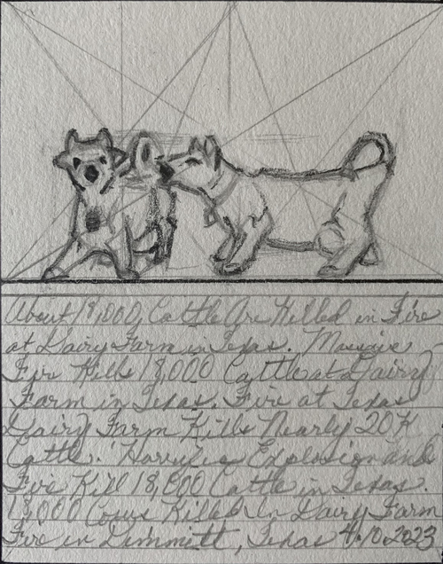 Amy Mahnick Elegies For Animals Trapped in Factory Farm Fires Graphite on sketchbook page