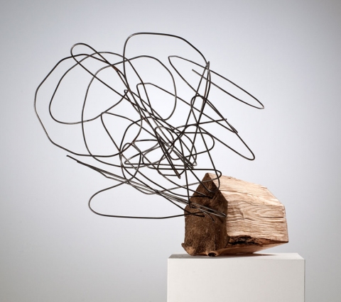 Extruded (Thought House Series) Recent Work Steel and wood