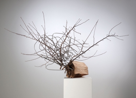 Extruded with Branches (Thought House Series) Recent Work Steel and wood