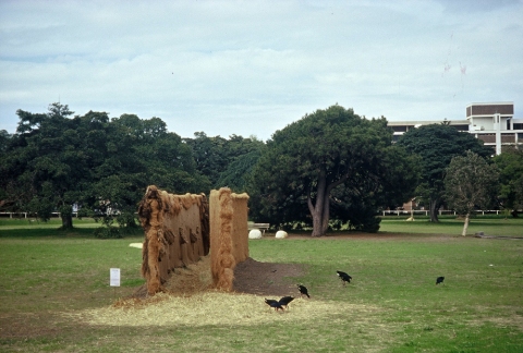 ANITA GLESTA ENTRE DOS AGUAS, Centennial Park, Sydney, Australia, 1997 