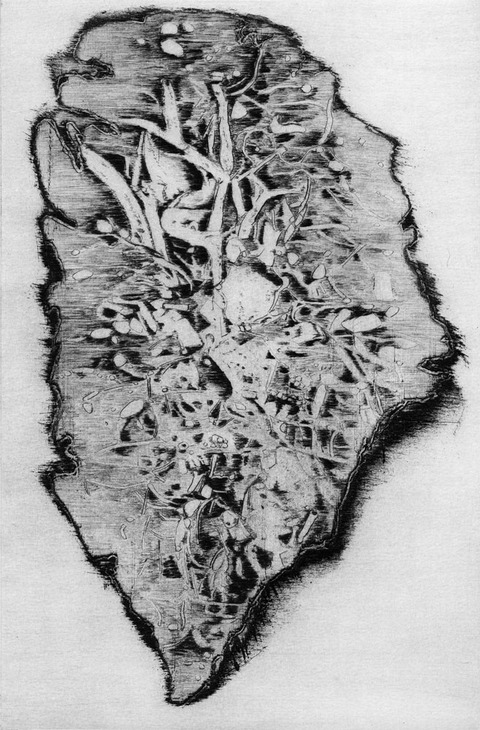 Anita S. Hunt   Island Series etching, drypoint on copper