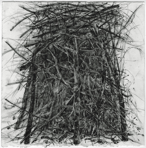 Anita S. Hunt   Stick Piles watersoluable graphite on watercolor paper