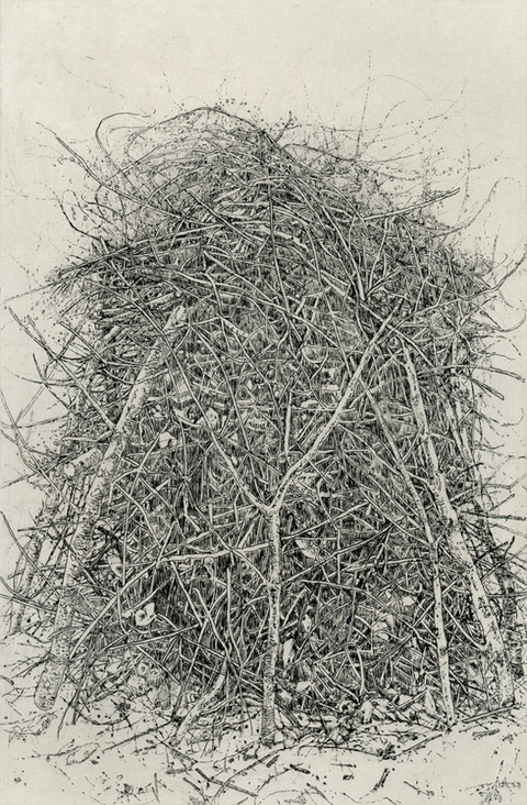 Anita S. Hunt   Piles and Pools etching, Chine collé