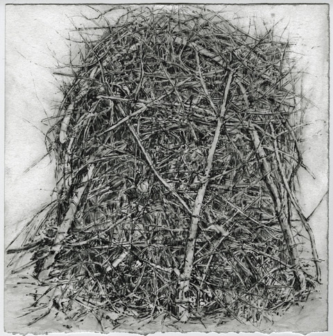 Anita S. Hunt   Stick Piles watersoluable graphite on watercolor paper