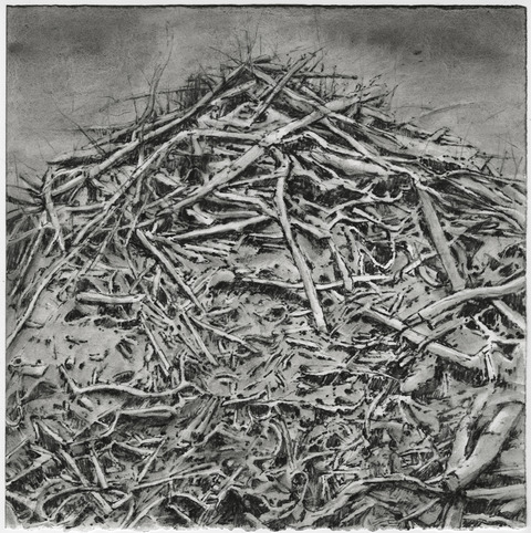 Anita S. Hunt   Stick Piles watersoluable graphite and ink on watercolor paper