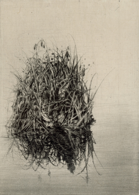 Anita S. Hunt   Piles and Pools drypoint and chine collé