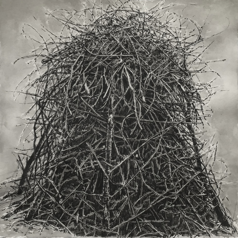 Anita S. Hunt   Stick Piles watersoluable graphite and ink on watercolor paper