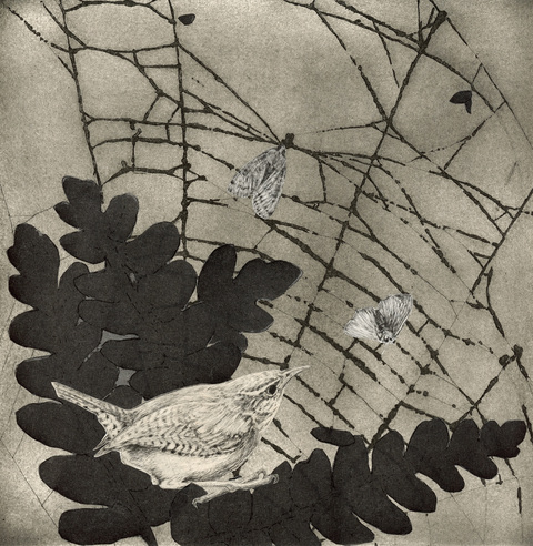 Anita S. Hunt   Current Work on Paper Unique intaglio ollage (etching, drypoint engraving) on Japanese papers