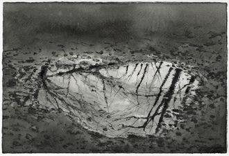 Anita S. Hunt   Puddles watersoluable graphite and ink on watercolor paper