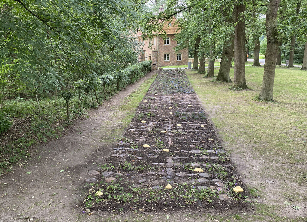 Ann Aspinwall Outdoor Installation 