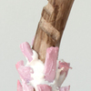  2012 Stick, plaster of paris, pink foam, fabric, dyes and pigments