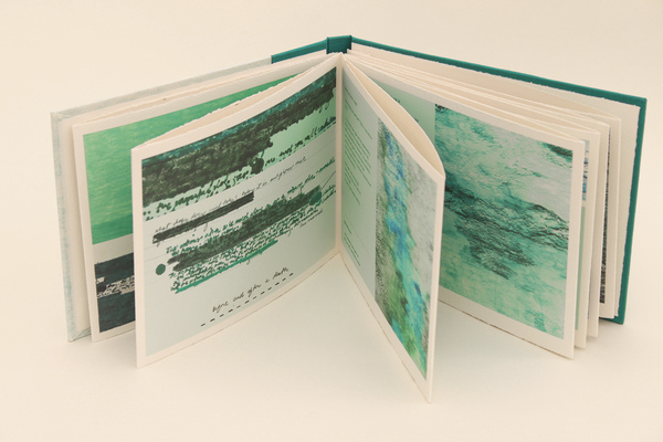 Anne Gilman : Artist Books : Limited Edition Artist Books