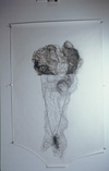  Archived Drawings (1993-2004) Pencil and clear oil pastel on paper