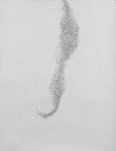 Anne Louise Allen Dust Bunny Drawings Goldpoint and silverpoint on prepared paper